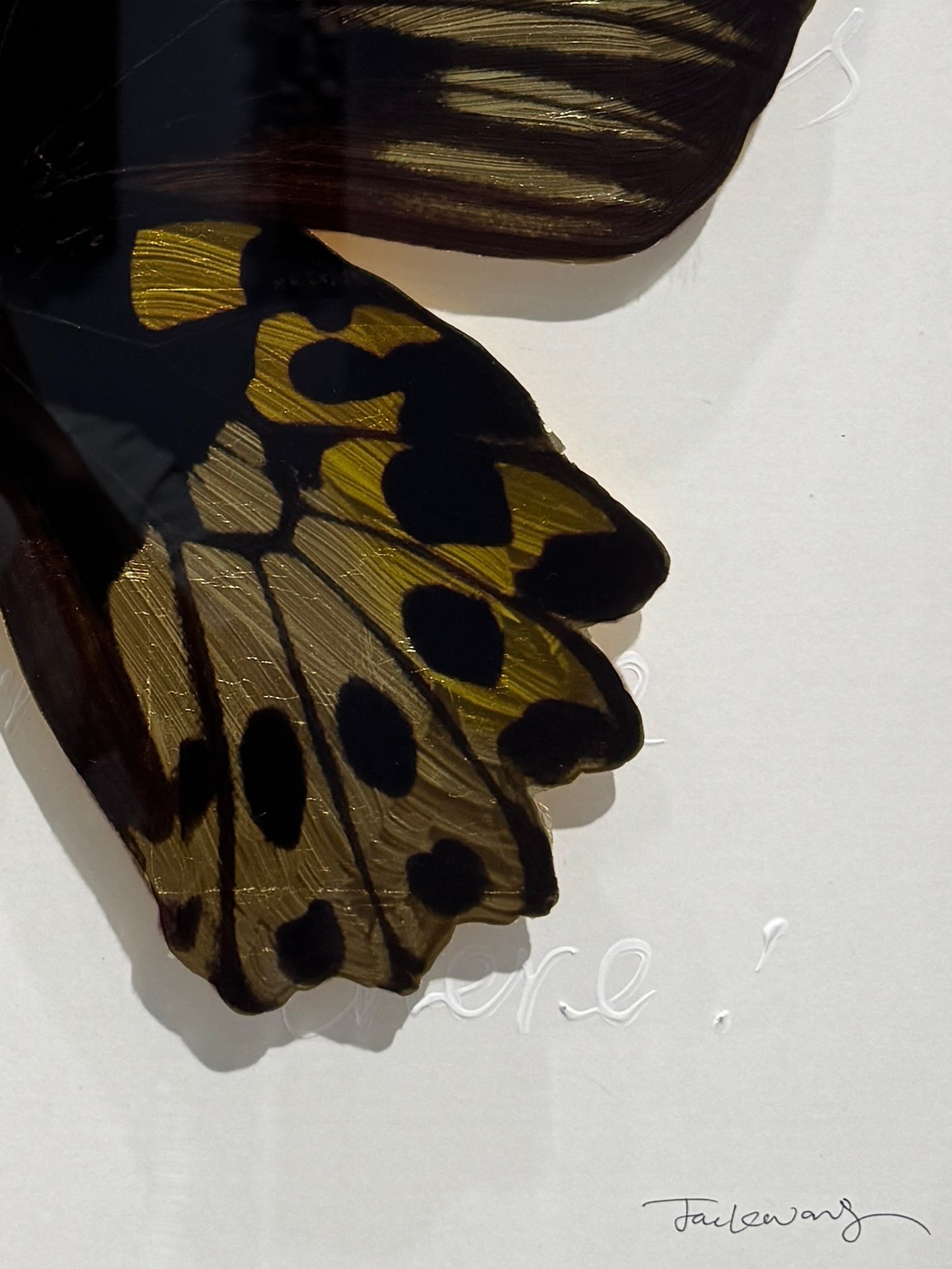 Golden Birdwing