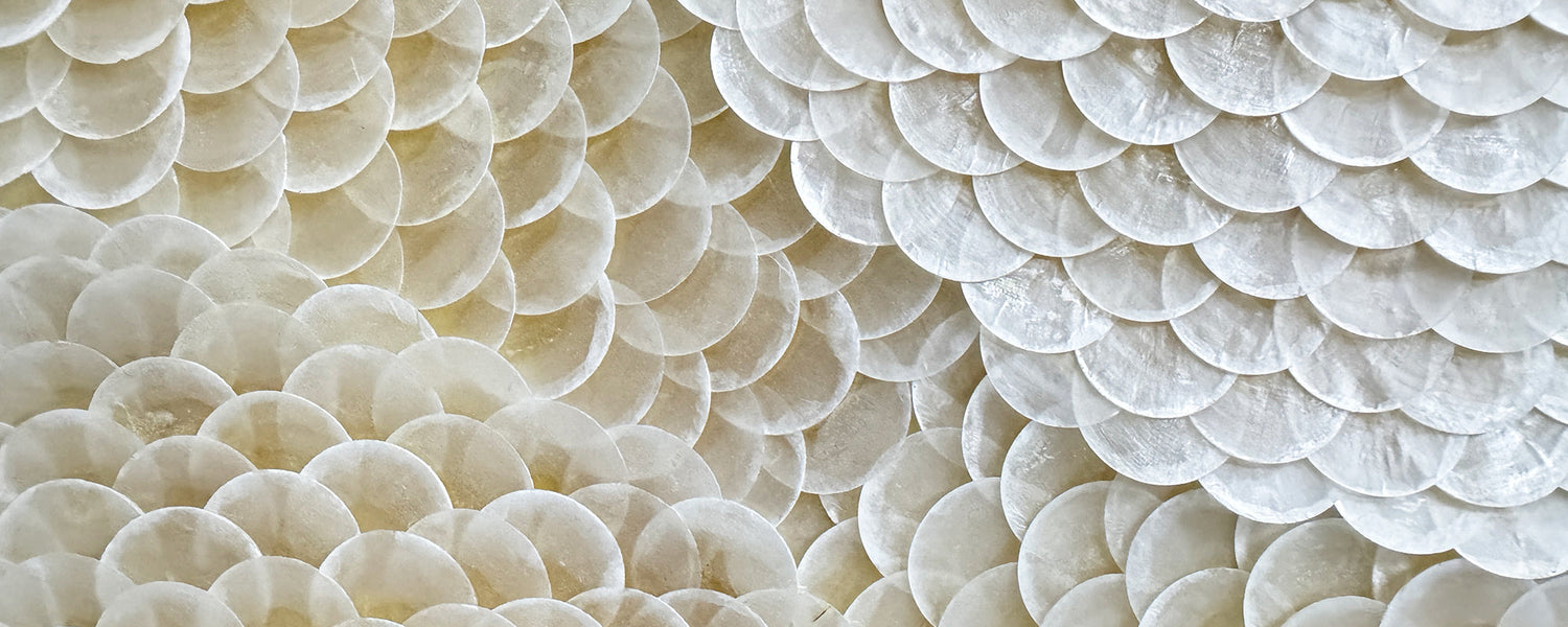 Shell Wall Art