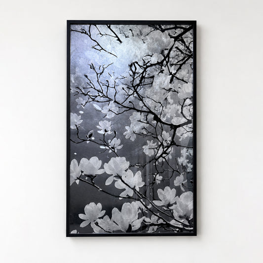 Moonlit Trace