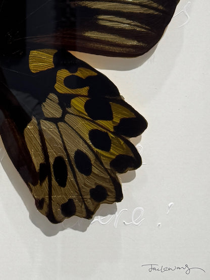 Golden Birdwing