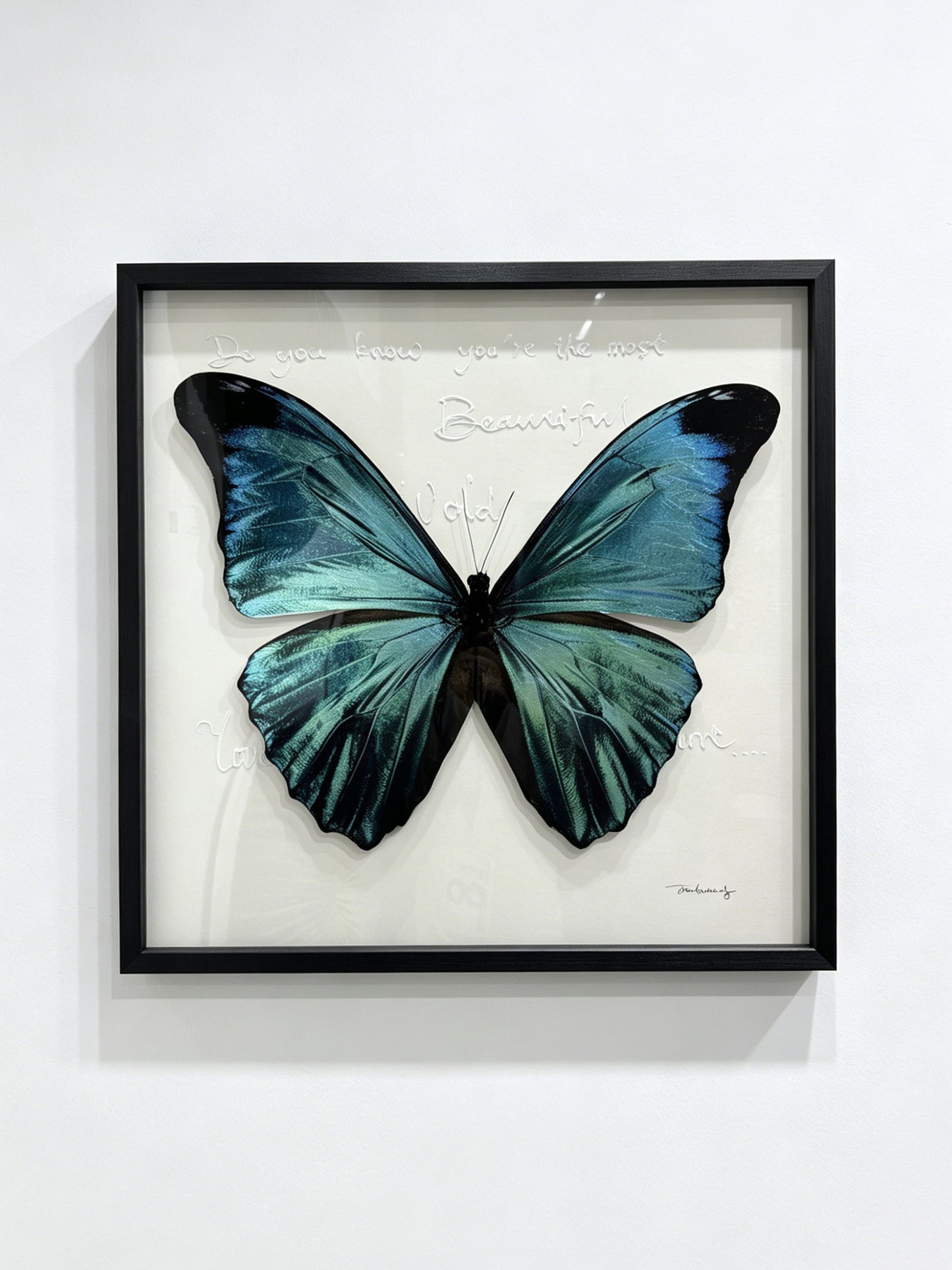 Blue Morpho Butterfly