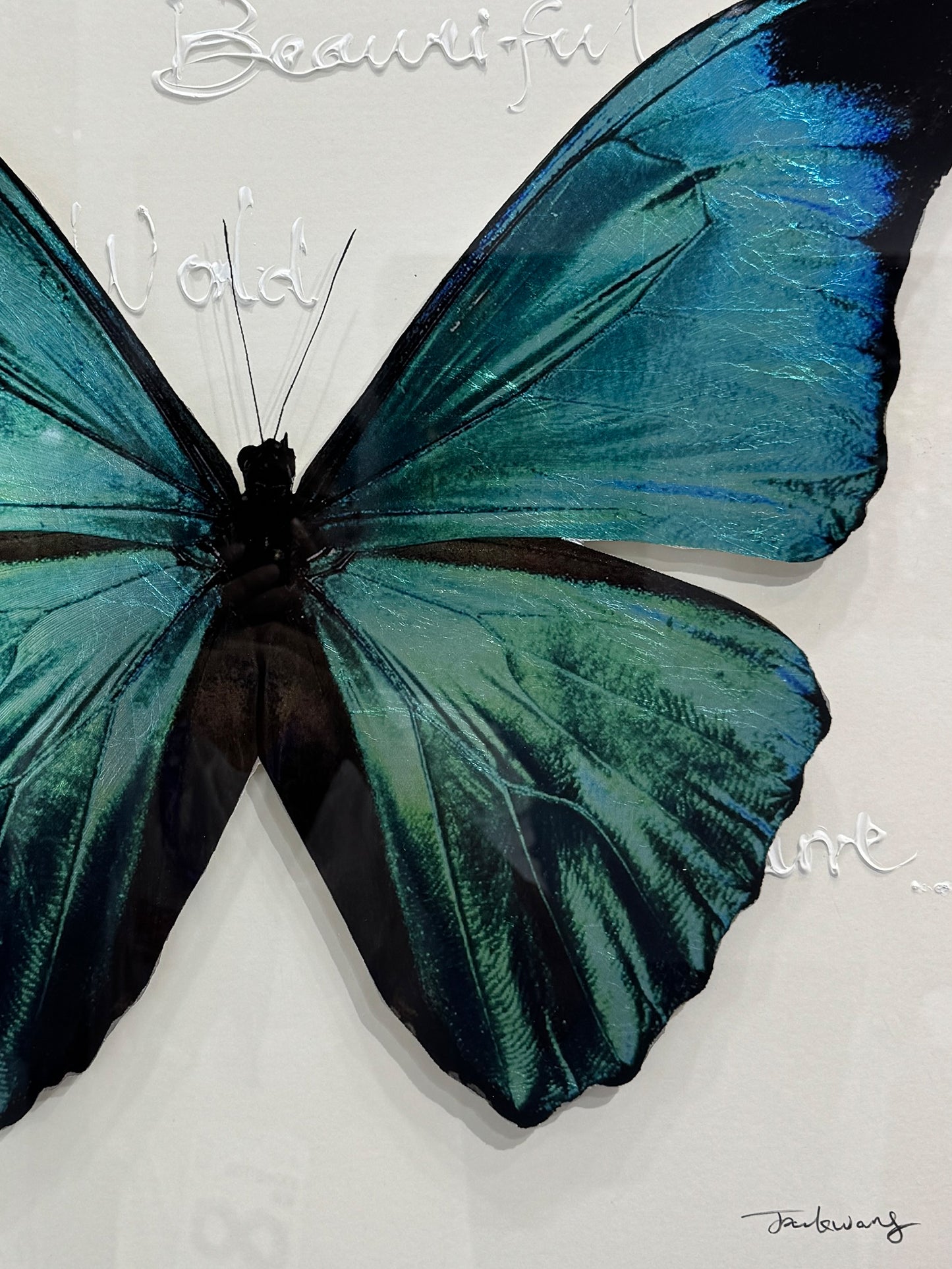 Blue Morpho Butterfly