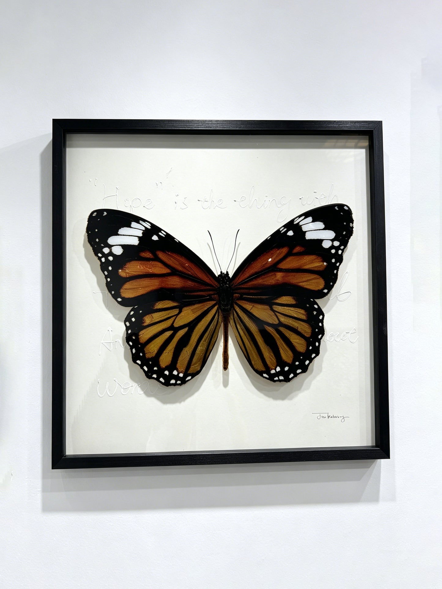 Monarch Butterfly