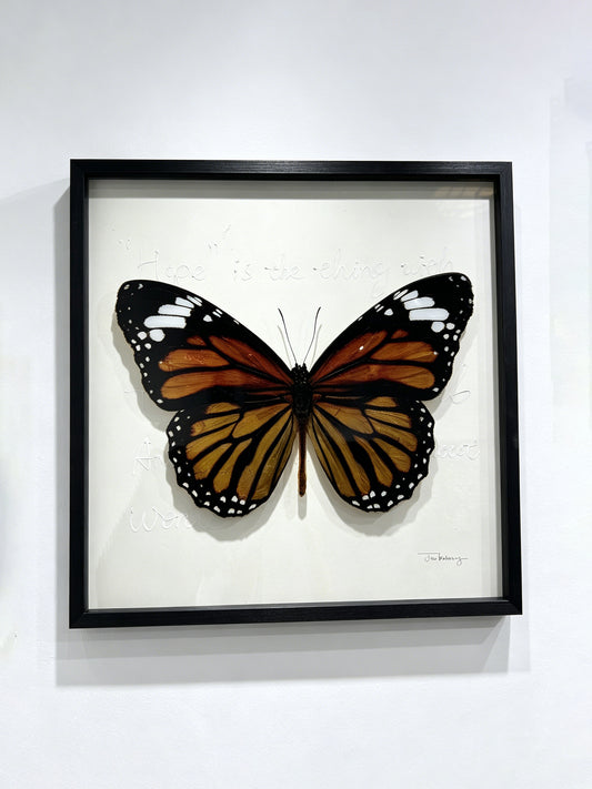 Monarch Butterfly