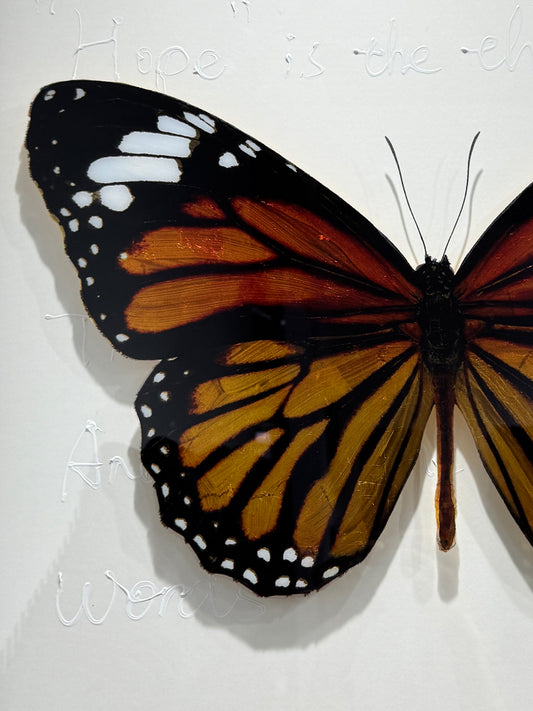 Monarch Butterfly