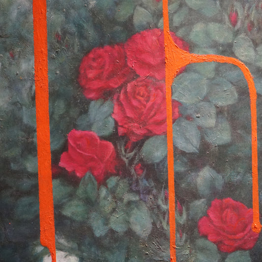 Bliss · Blissful Roses