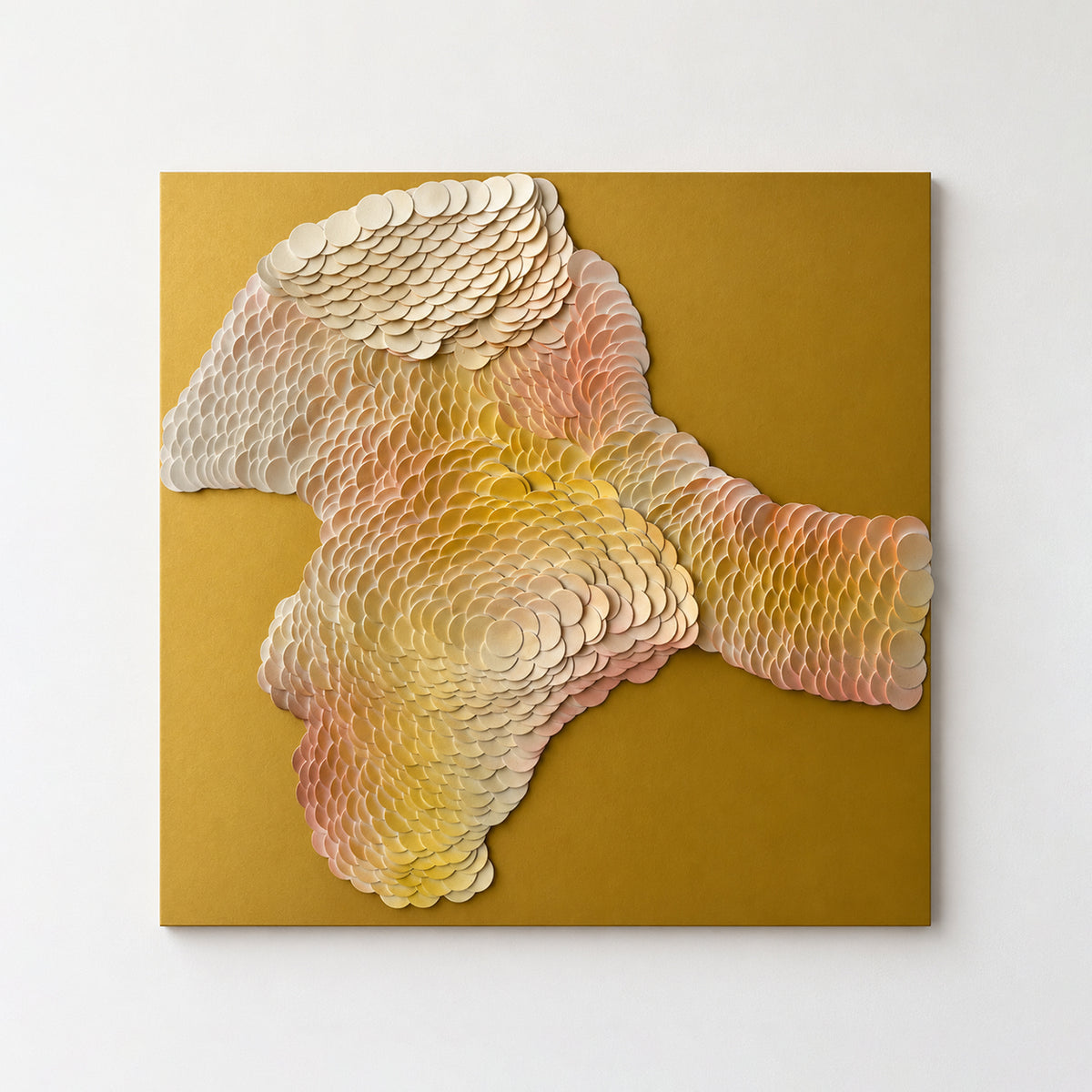 Tract | Detail