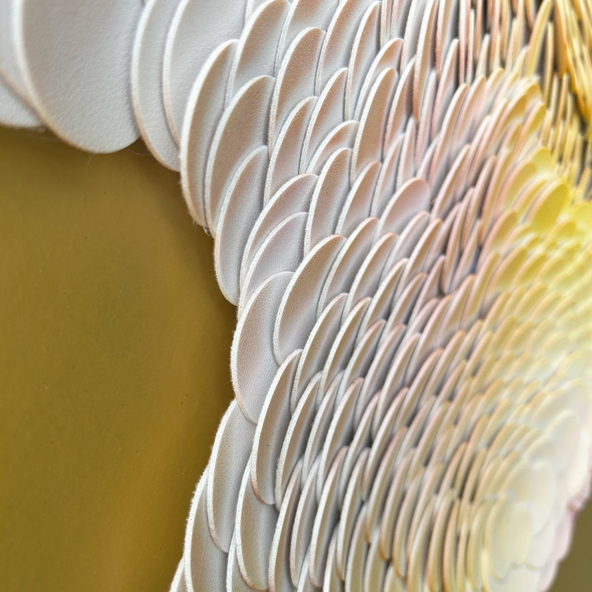 Tract | Detail