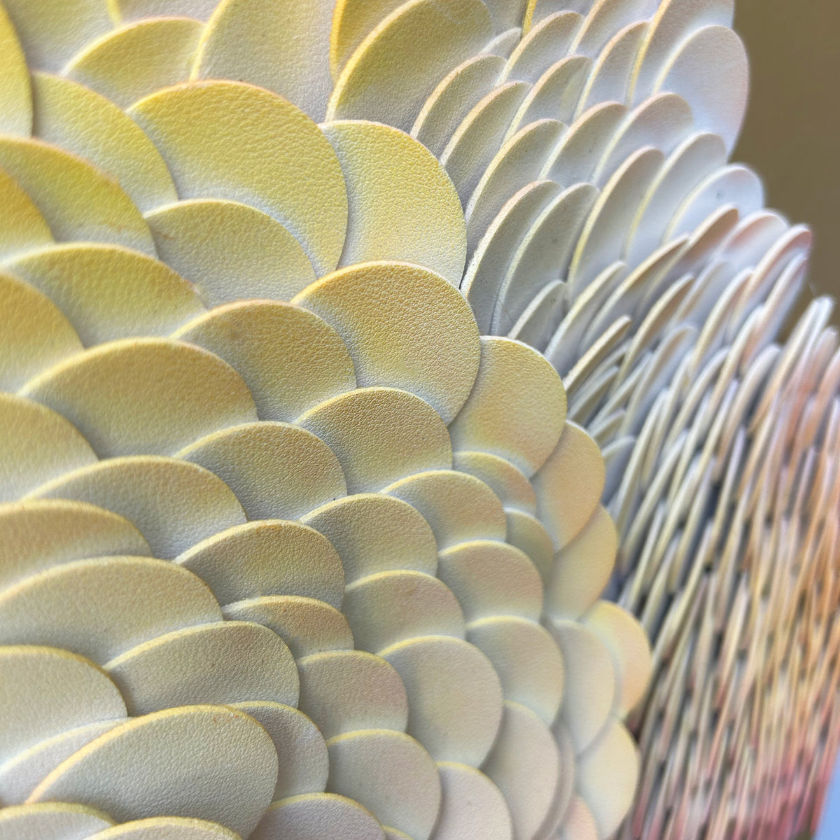 Tract | Detail