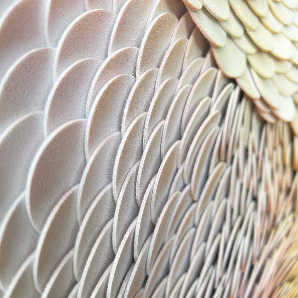 Tract | Detail