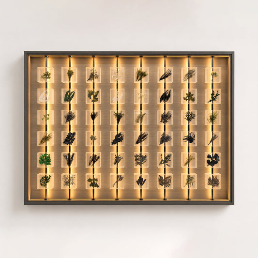 Lumen Herbarium