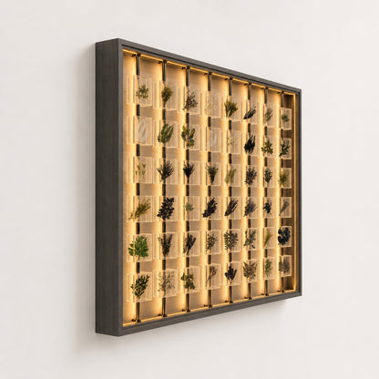 Lumen Herbarium