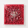 Petal Symphony