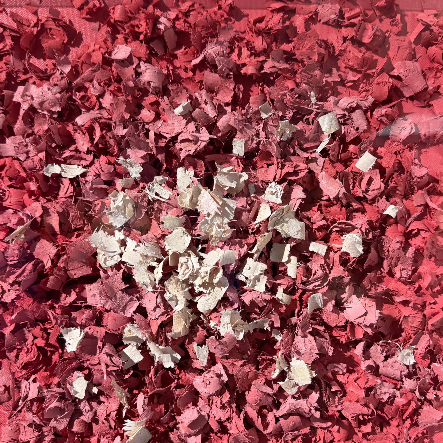 Petal Symphony
