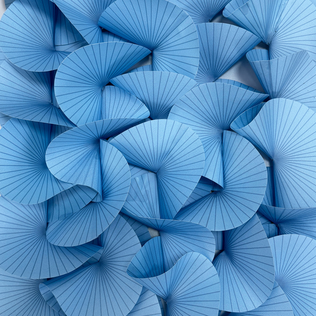 Caelum | Detail