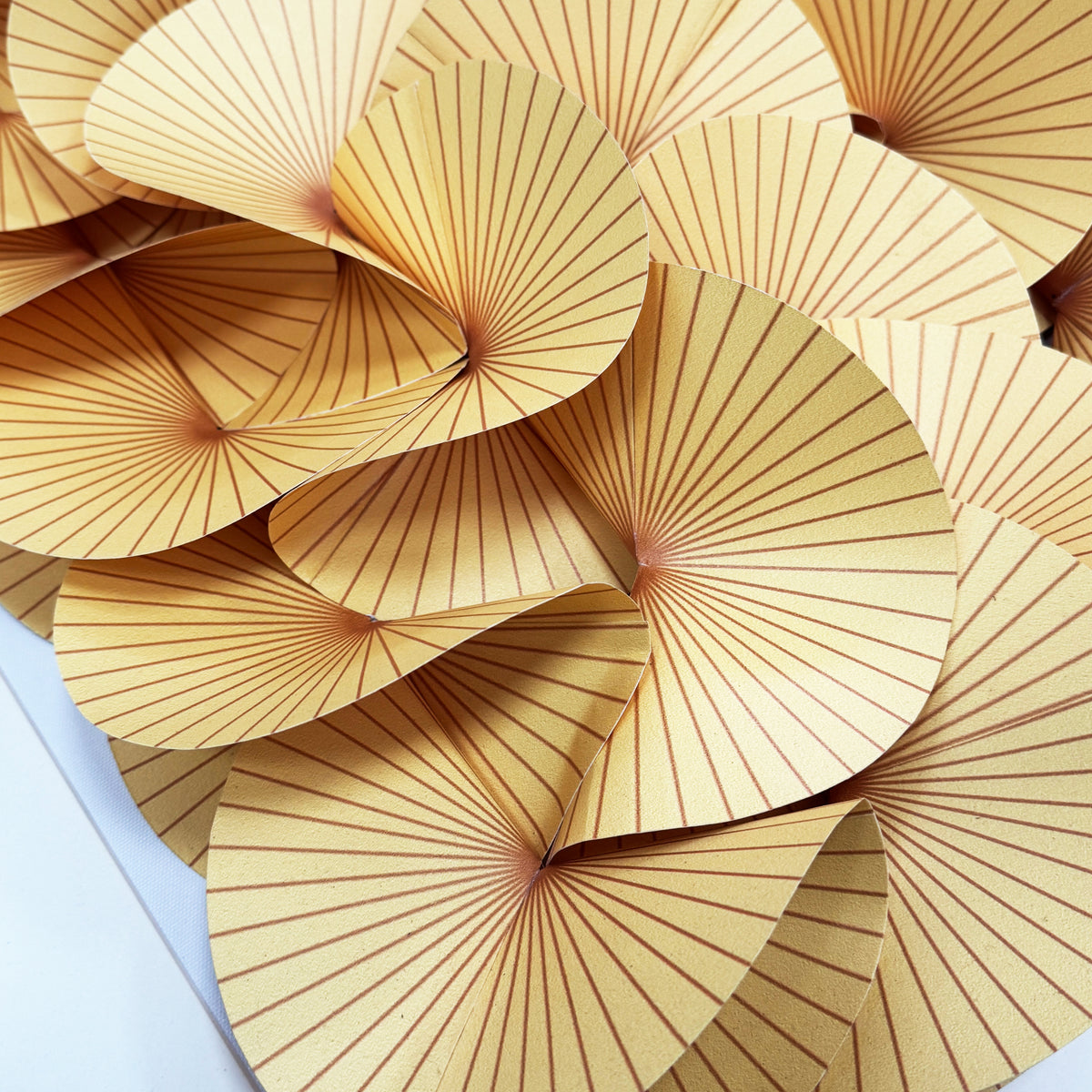 Aurum | Detail