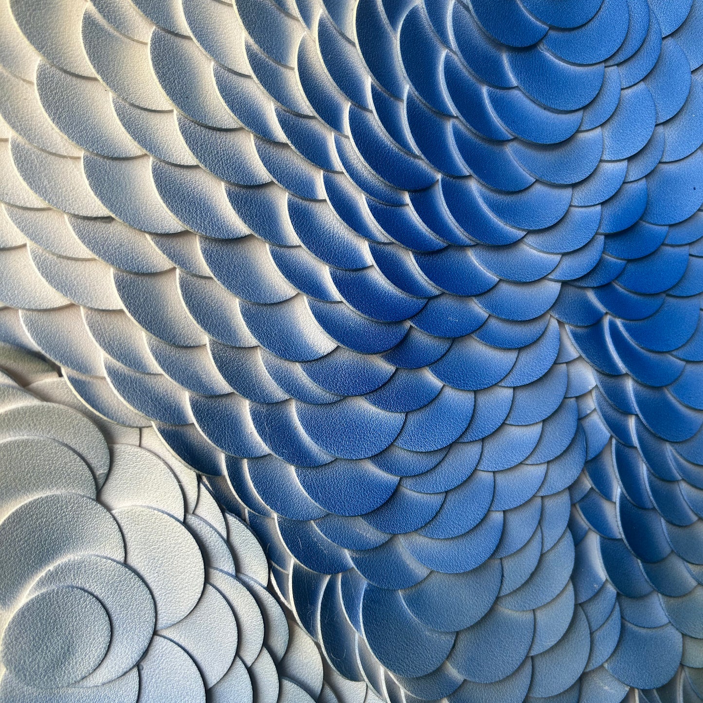 Continuous Field 1