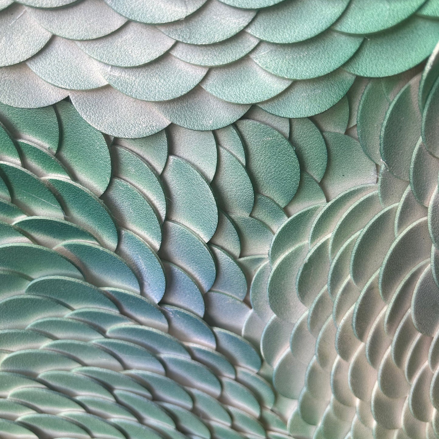 Continuous Field 4