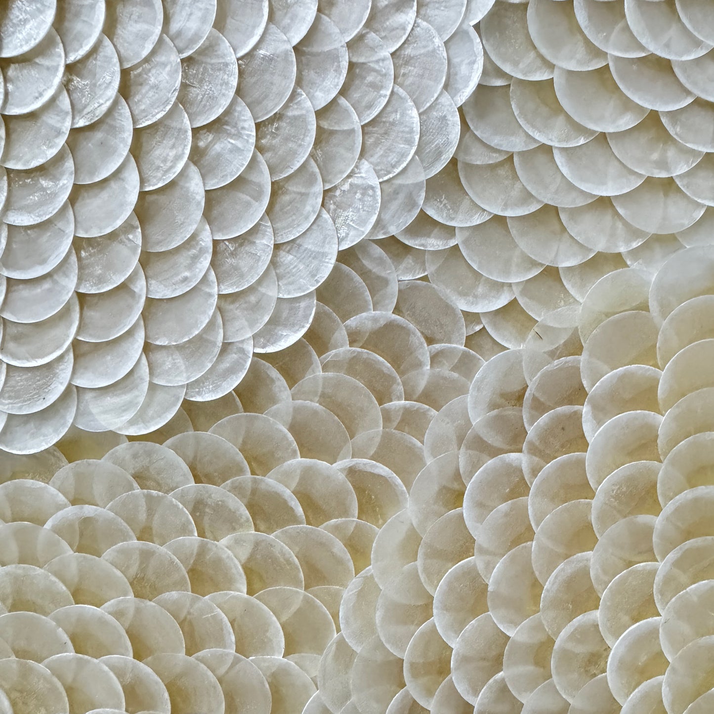 Pearl Tide No. 01
