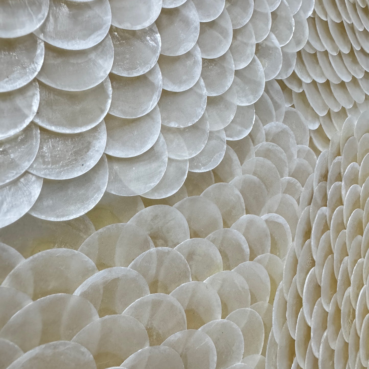 Pearl Tide No. 01