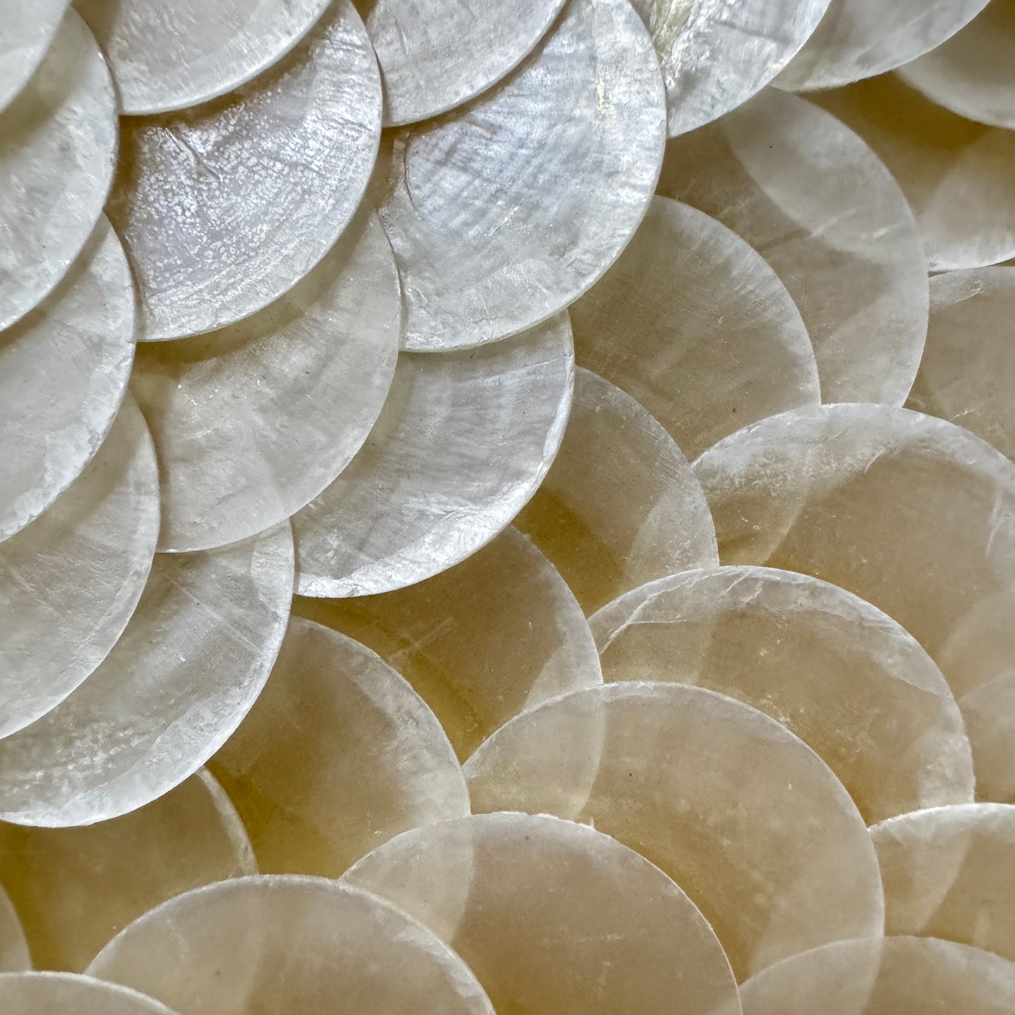 Pearl Tide No. 01