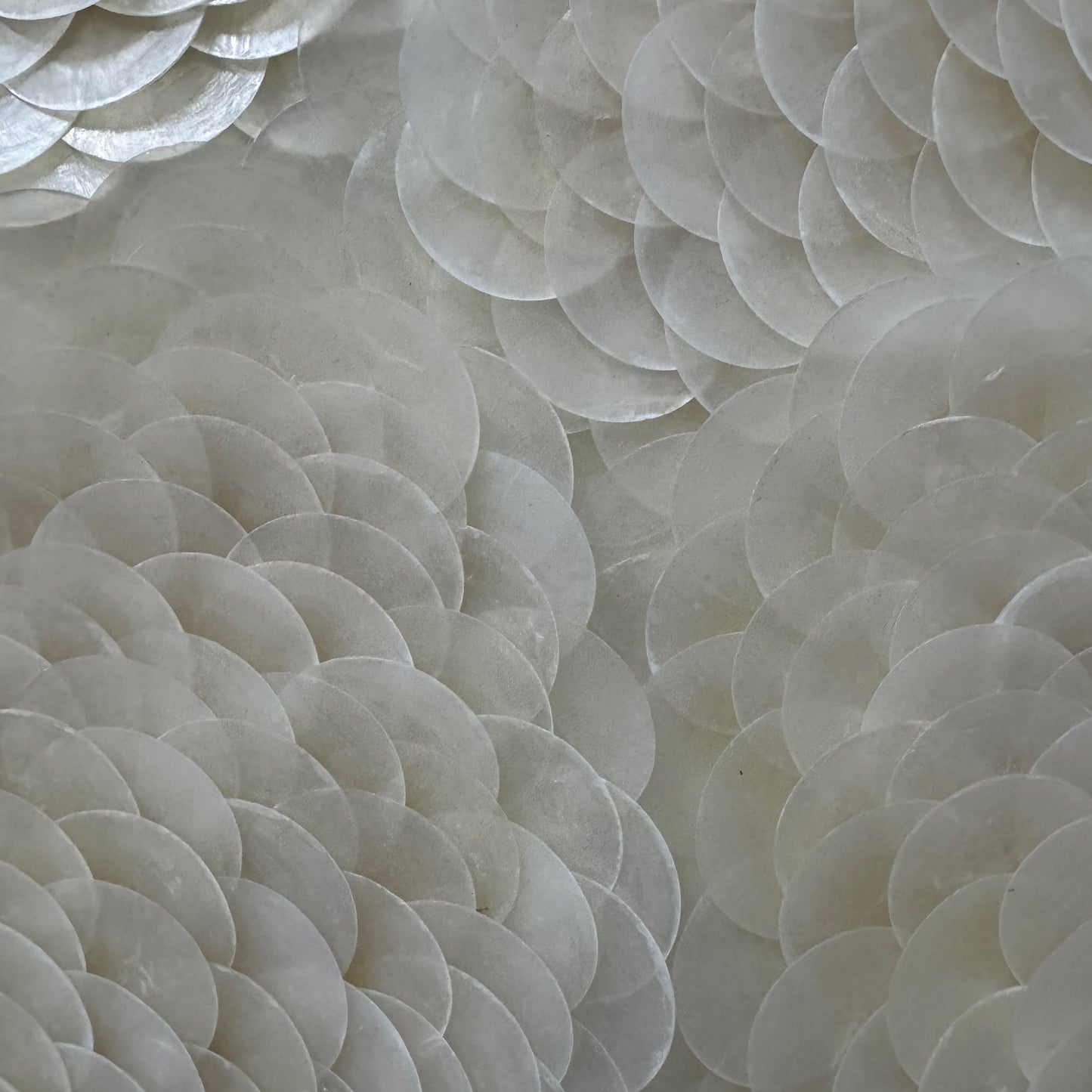Pearl Tide No. 02