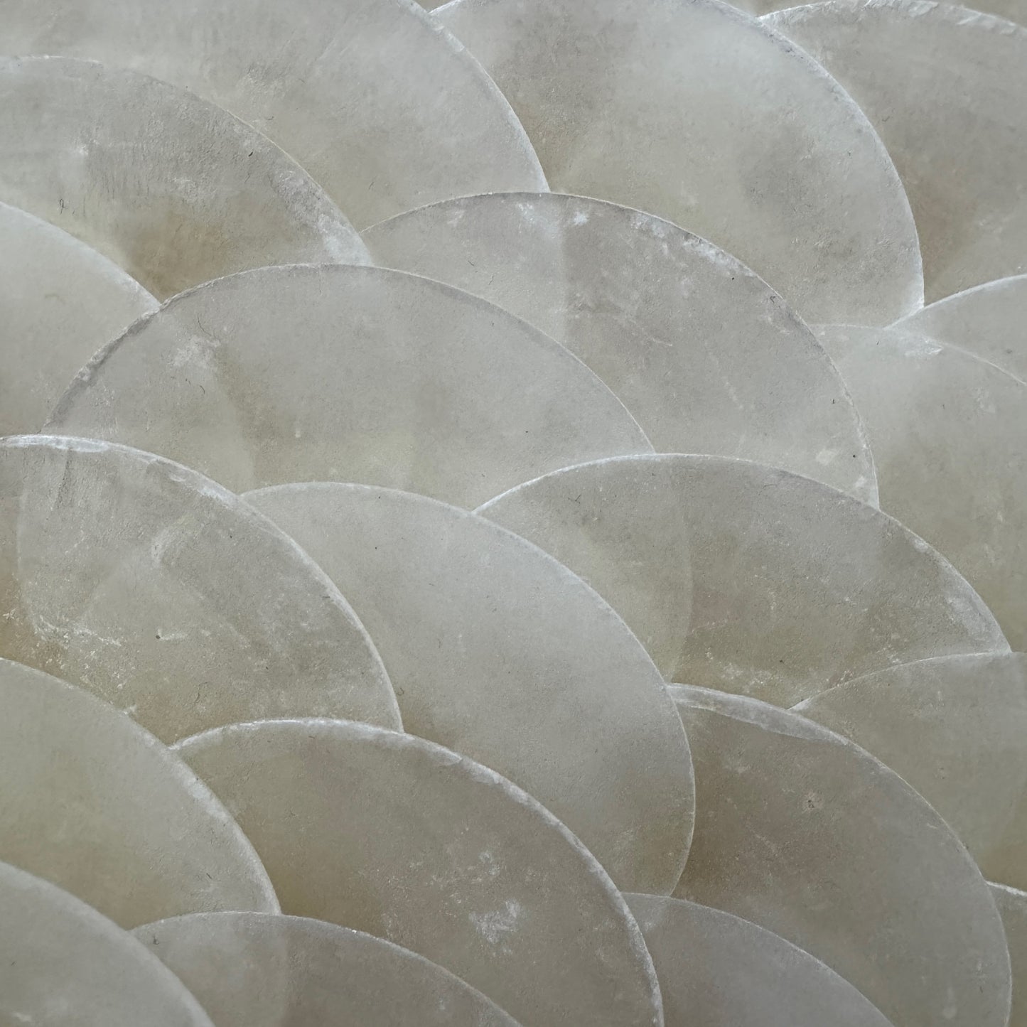 Pearl Tide No. 02