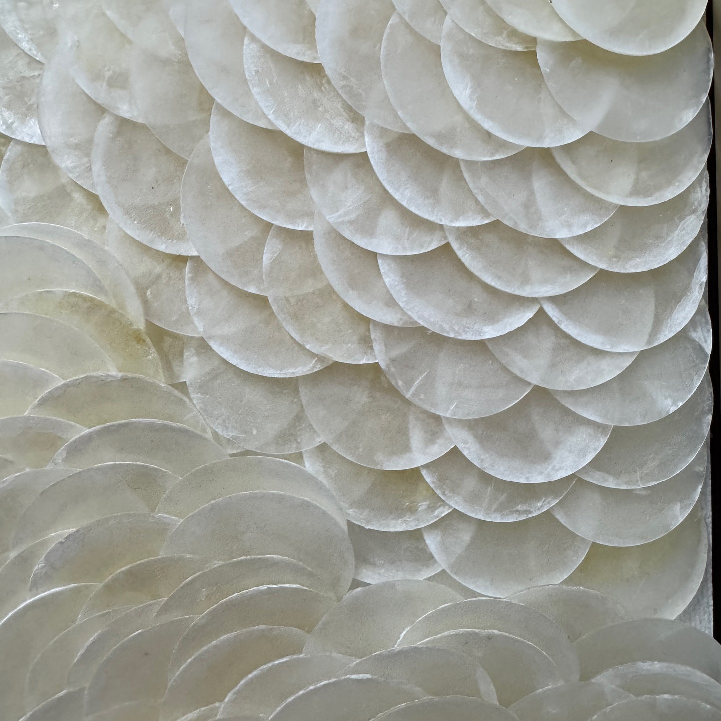 Pearl Tide No. 03