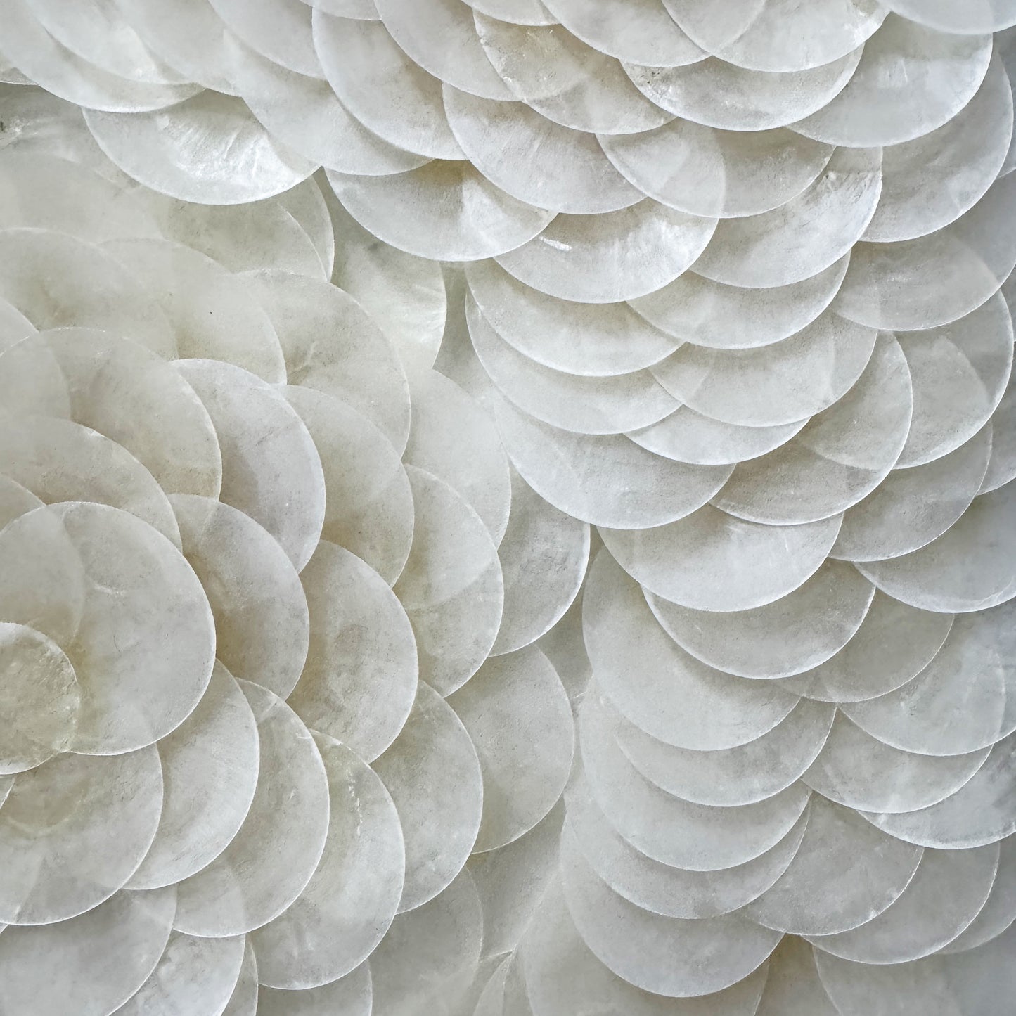 Pearl Tide No. 04