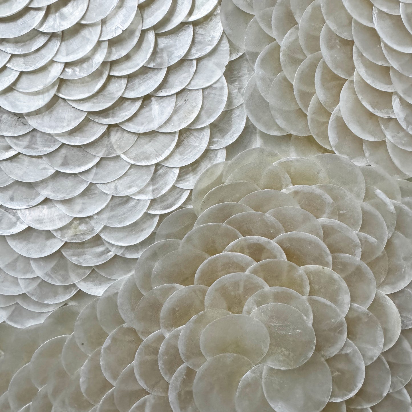 Pearl Tide No. 06