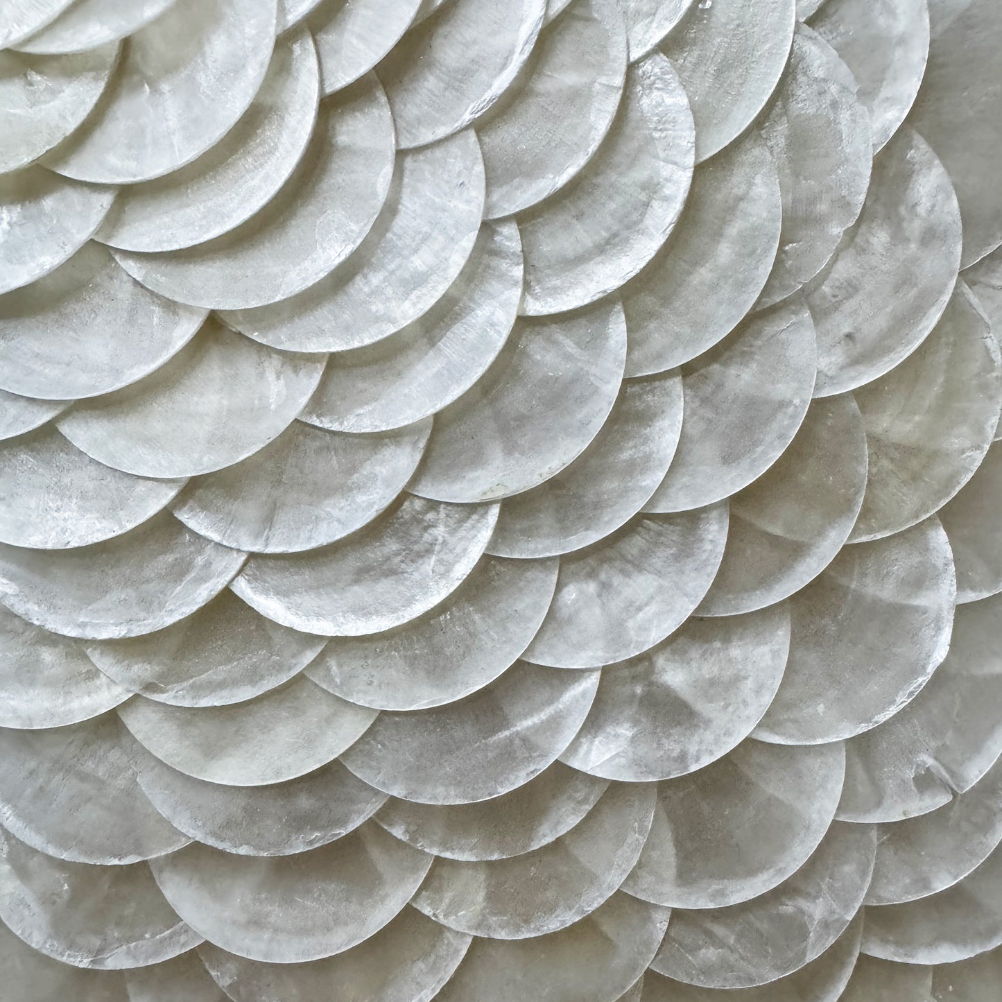 Pearl Tide No. 06