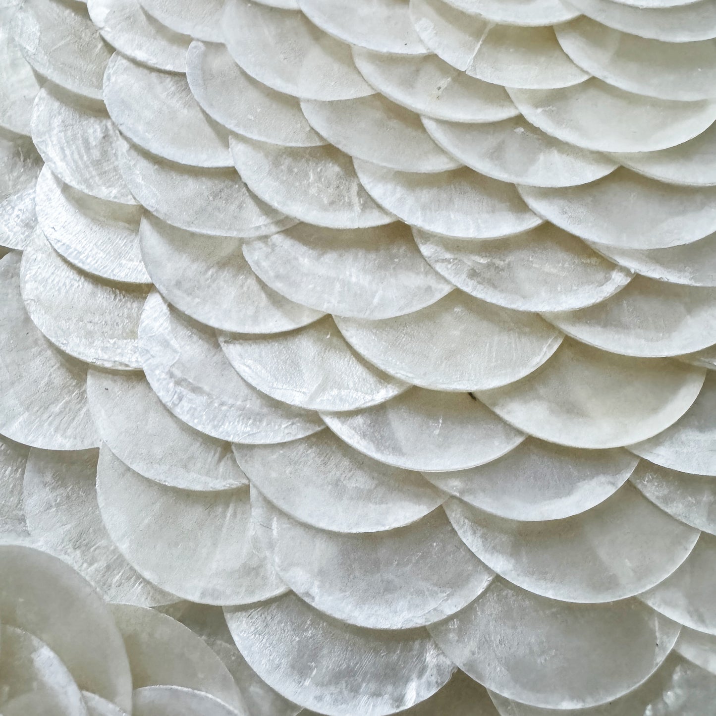 Pearl Tide No. 06