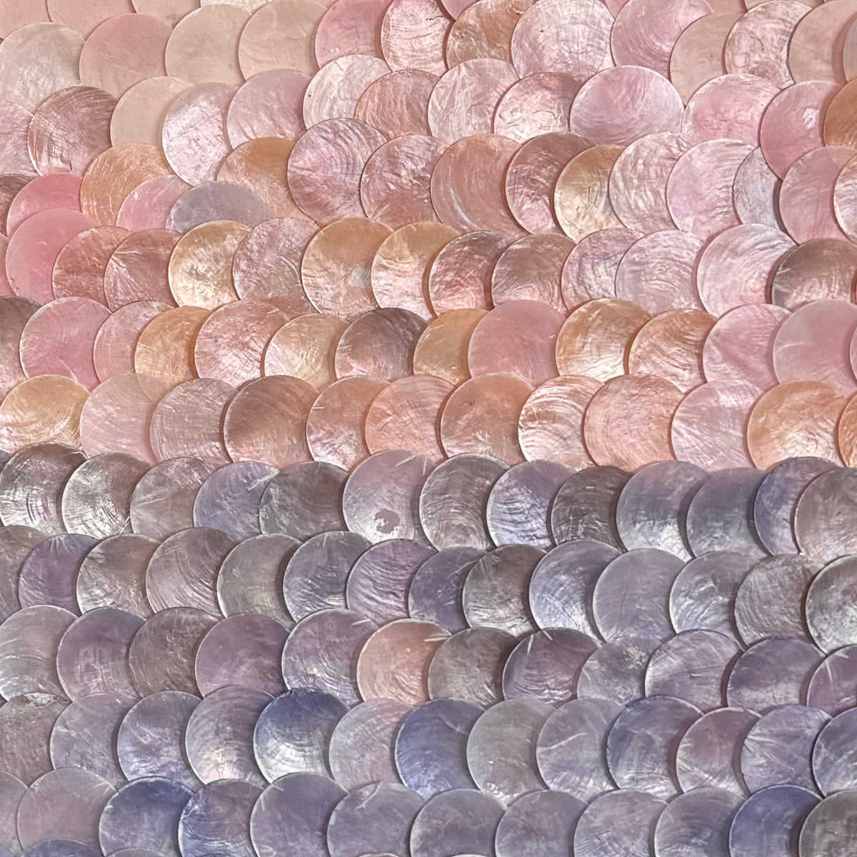 Roseate | Detail